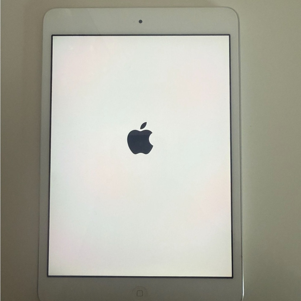 Apple iPad mini
